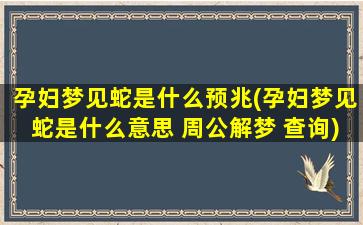 孕妇梦见蛇是什么预兆(孕妇梦见蛇是什么意思 周公解梦 查询)